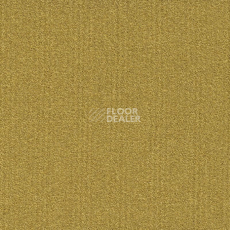 Ковровая плитка Modulyss Millennium Nxtgen Millennium Nxtgen 200 фото 1 | FLOORDEALER